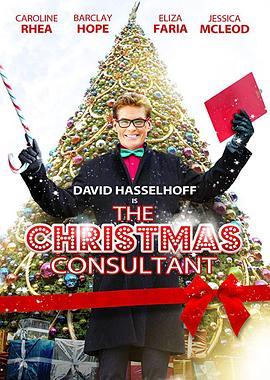TheChristmasConsultant