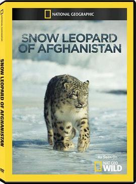 阿富汗的雪豹
