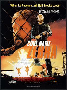 CodeNameZebra