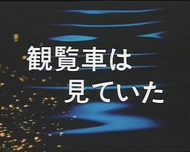 観覧車は見ていた