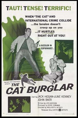 TheCatBurglar