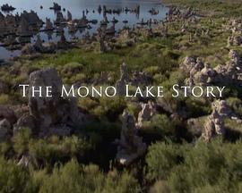莫诺湖的故事