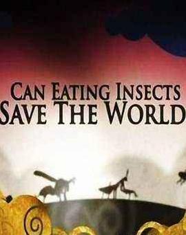吃昆虫能拯救世界吗？